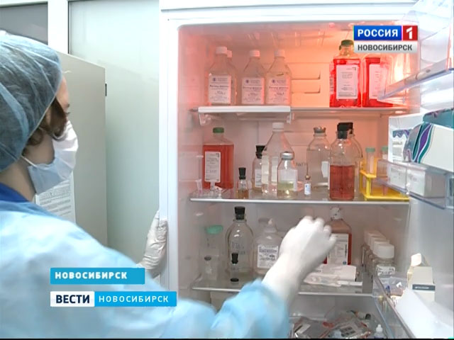 «Стражи иммунной системы»: новосибирские ученые создали вакцину от рака