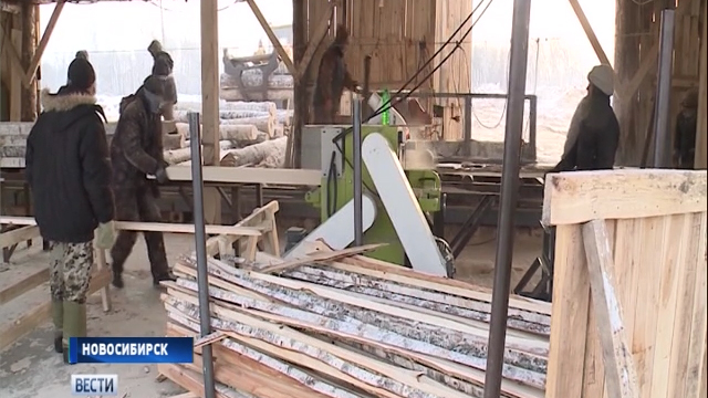 Пункты приёма и заготовки древесины поставят на учёт в Новосибирской области
