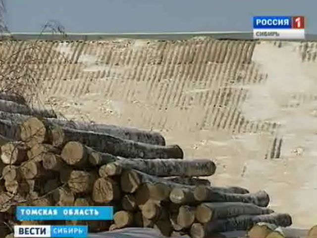 Жители томского поселка Зыряновское против развития деревообрабатывающего производства