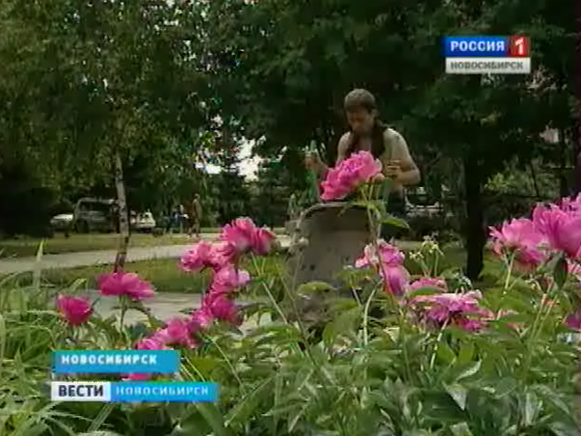 Ко Дню города в Новосибирске отремонтируют несколько десятков дворов и скверов