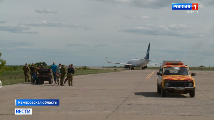 Лосиха бегала по взлётной полосе аэропорта в Кемеровской области