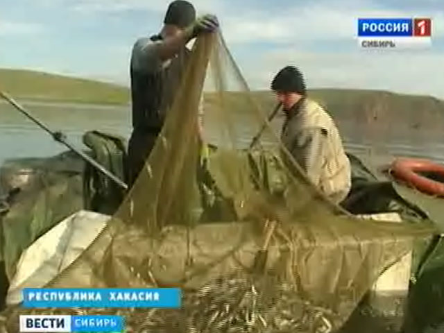 Сибирские рыбоводы оценили перспективность рыбного рынка