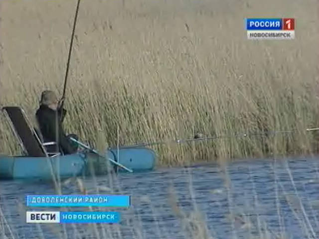 В Новосибирской области планируют восстановить товарное рыбоводство