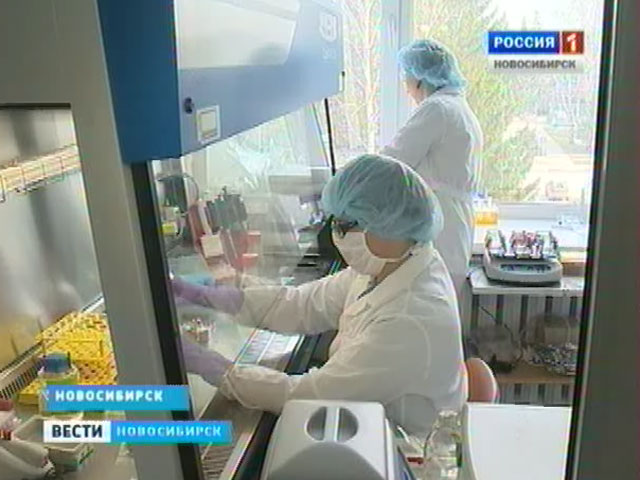 Новосибирские учёные приоткрывают завесу тайны над своими медицинскими разработками