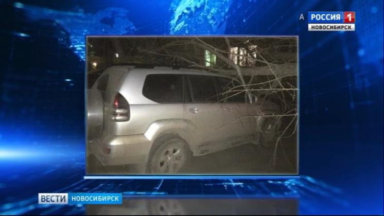Штормовой ветер в Новосибирске срывал кровли и валил деревья на автомобили