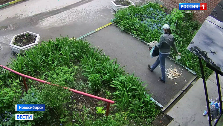 На «мусорную террористку» жалуются жители одного из новосибирских домов