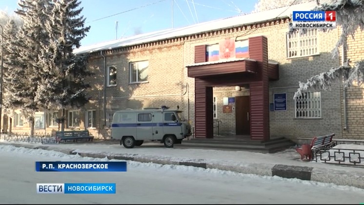 Девять семей из Краснозерского района лишились материнского капитала из-за мошенников