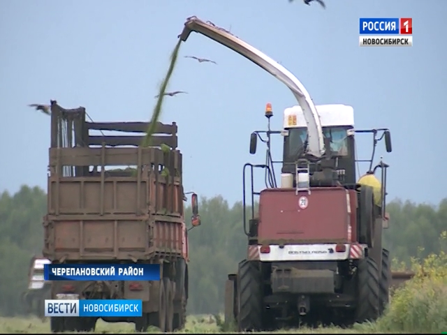Новосибирские аграрии заготавливают корма с опережением графика   