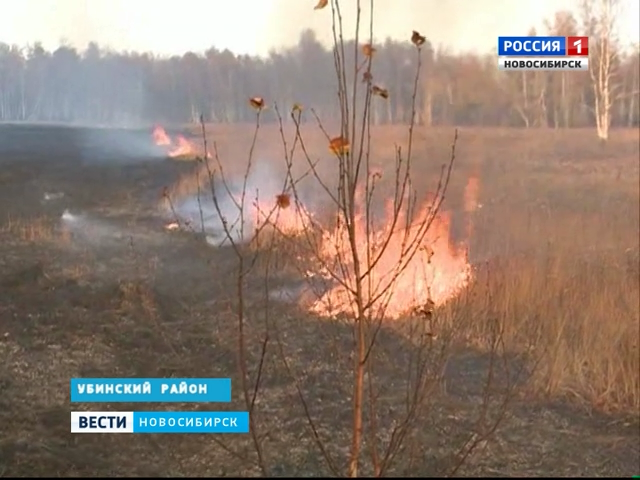 Жители Убинского района самостоятельно борются с пожарами   