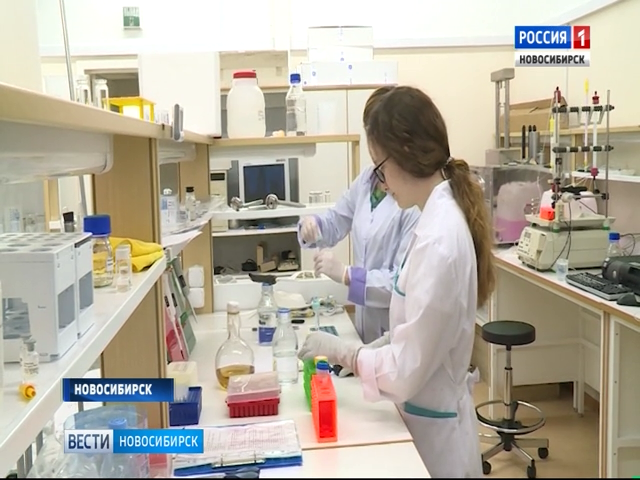 Новосибирские ученые готовятся к испытаниям препарата от рака молочной железы