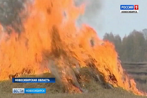 Пламя от горящей травы вплотную подошло к домам в Новосибирской области