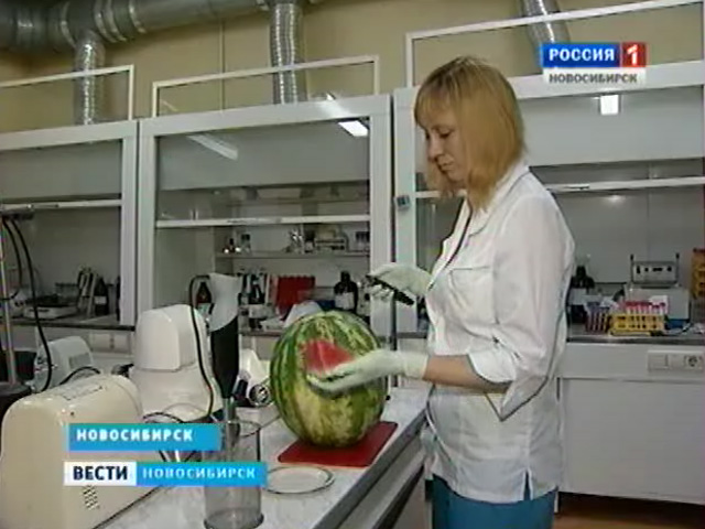 В Новосибирске проверили, насколько безопасны арбузы на городских рынках