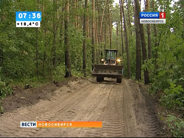 Экоактивисты считают, что строительство велодорожки в Заельцовском паре приведет к уничтожению деревьев