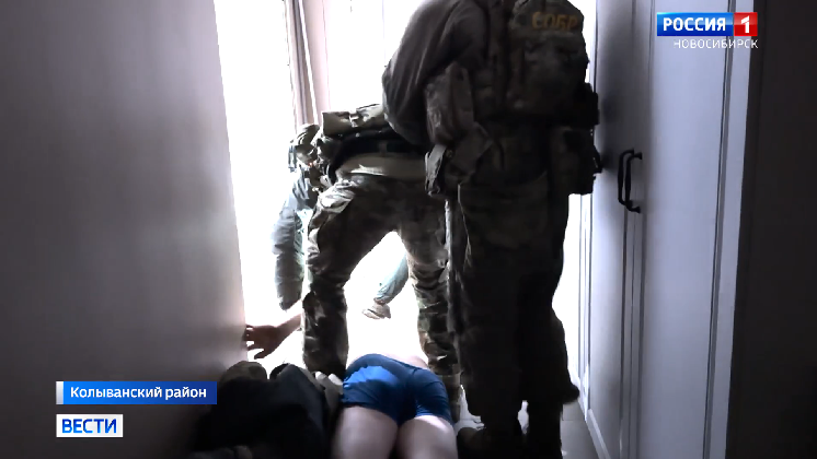 Ещё одну банду чёрных лесорубов задержали в Новосибирской области