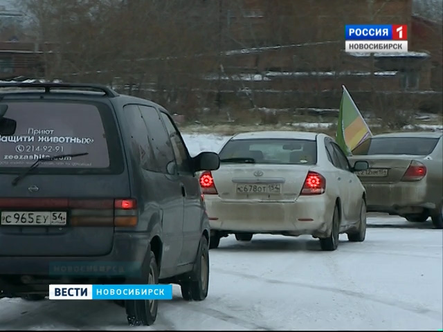 Зоозащитники провели в Новосибирске благотворительный автопробег