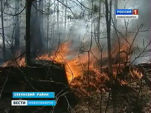 На границе Новосибирской области ликвидирован крупный лесной пожар