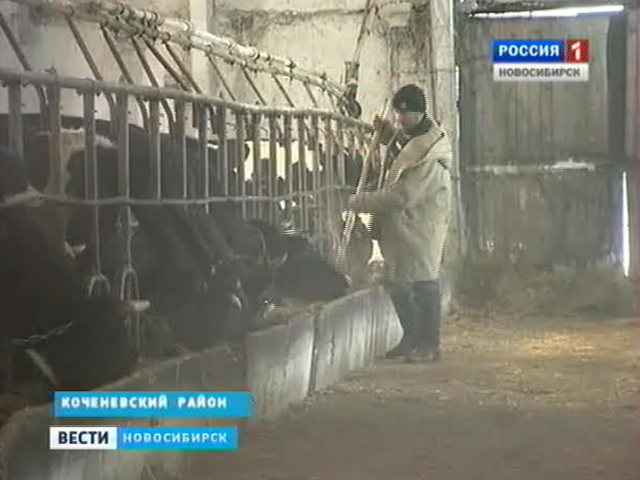 Новосибирские хозяйства пытаются выплатить кредиты в ущерб зарплатам своих работников