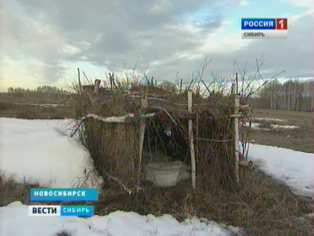 В регионах Сибири рассказали, какие ограничения на добычу дичи ввели этой весной
