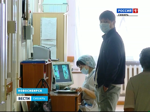 В регионах Сибири - свиной грипп: есть первые жертвы