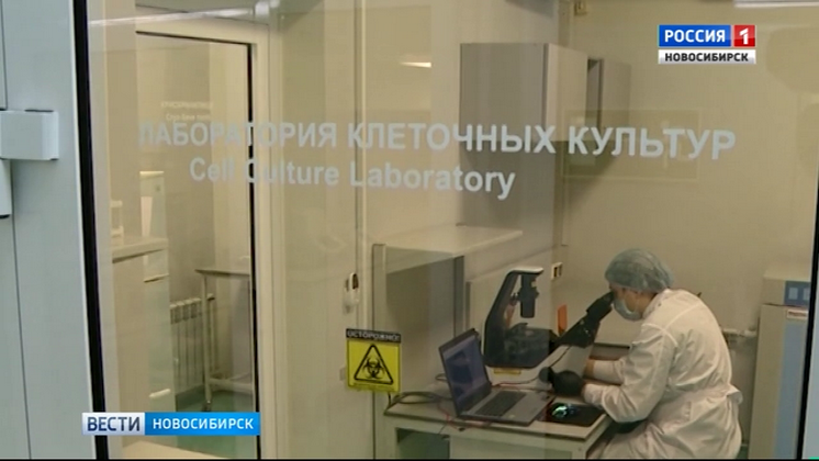 Новосибирская компания разрабатывает технологию 3D-биопечати