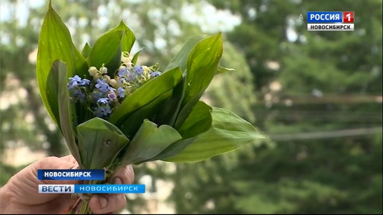 Полугодовалый ребенок отравился цветком ландыша в Новосибирске