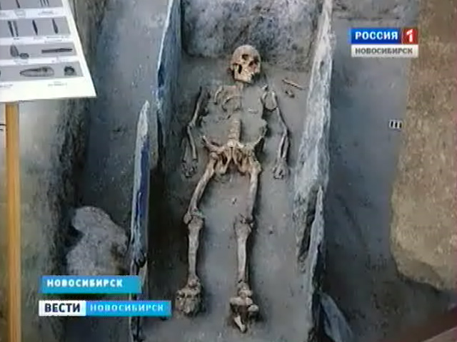 Любители-краеведы нашли на берегах Иртыша самую древнюю кость человека современного типа
