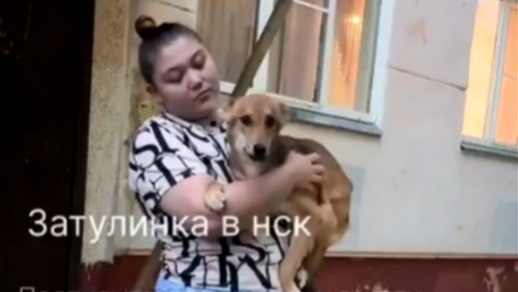 В Новосибирске жители дома по улице Зорге спасли брошенную в квартире собаку