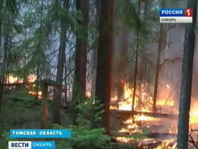 Сибирские пожарные и волонтеры выступают единым фронтом против природных пожаров