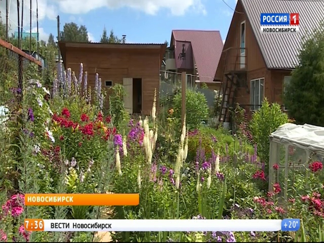 Новосибирские садоводы превратили шесть соток в музей   