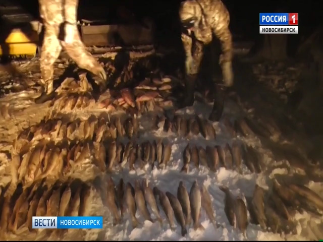 Полицейские изъяли у браконьеров десятки килограммов незаконно выловленной рыбы