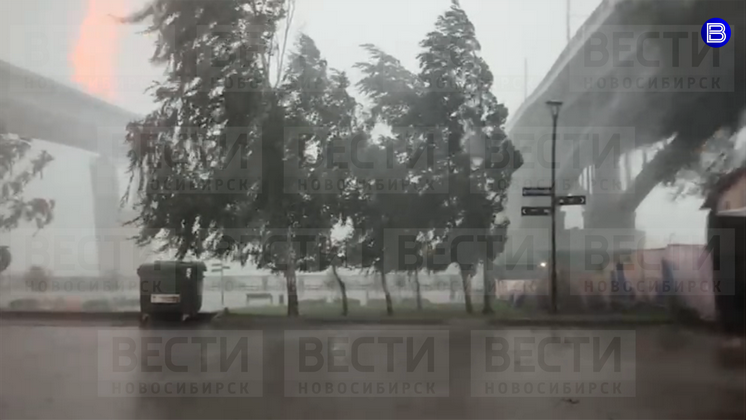 В Новосибирске приступили к устранению последствий от штормового шквала 17 июля