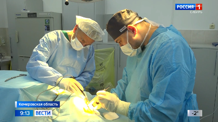 В Кемерове кардиохирурги провели экспериментальную операцию на сердце овцы