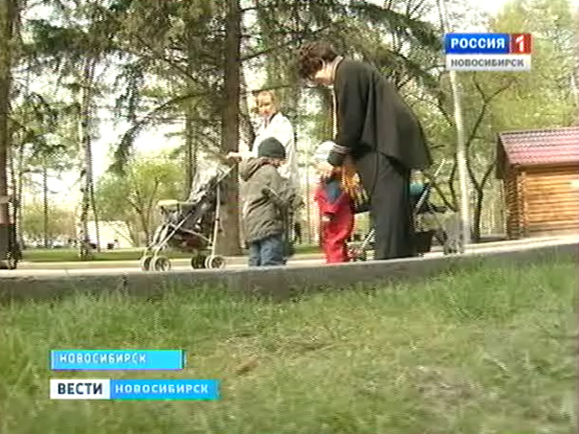 Можно ли в городе чувствовать себя защищёнными от болезней, которые переносят клещи?