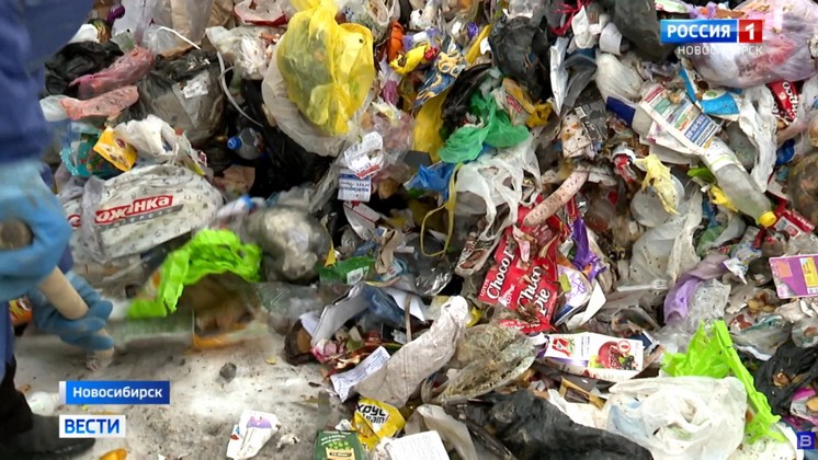 Новый участок под Новосибирском для мусорного полигона рассмотрела спецкомиссия 