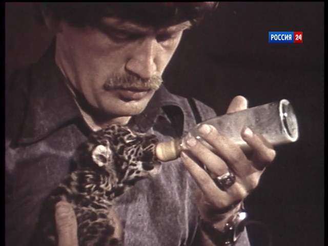 Р а шило. Шило директор зоопарка Новосибирск.