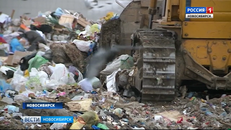 Новосибирск стал лидером среди городов России по раздельному сбору мусора 