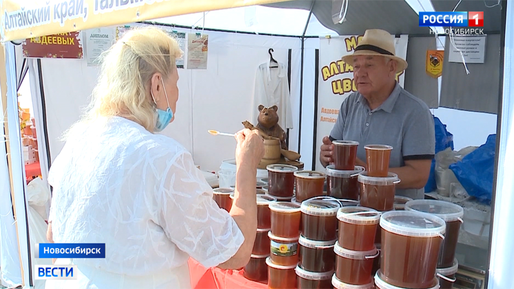 Новосибирские пчеловоды начинают медосбор: как выбрать правильный мёд?