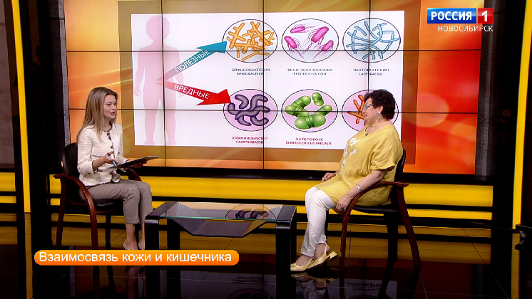 Полезные передачи. Полезная передача. Школа ремонта телепередача. Полезные передачи. Полезные передачи.