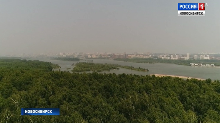 Пожары в Красноярском крае стали причиной дымки в Новосибирске