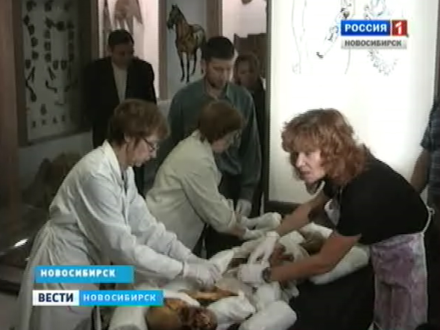 В Горно-Алтайск из Новосибирска отправилась знаменитая мумия скифской женщины