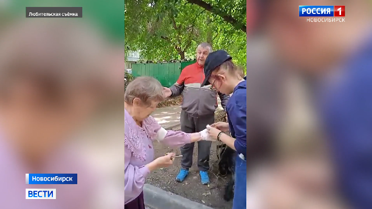 В Новосибирске пожилая женщина пострадала от агрессивной домашней собаки