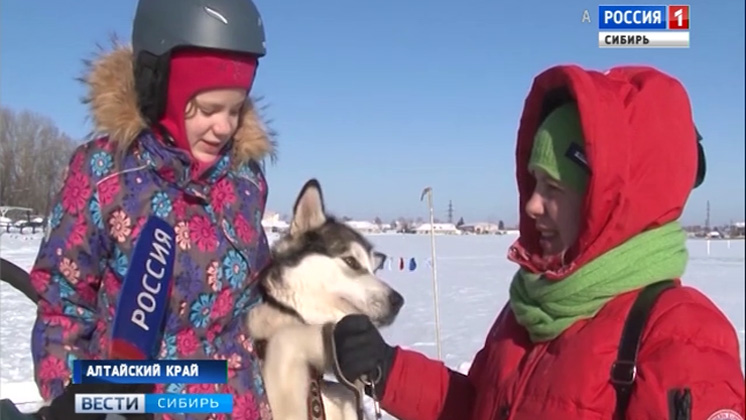 Любительские соревнования по скиджорингу провели в Барнауле