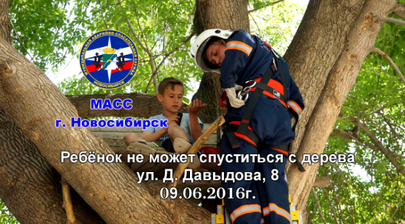 В Новосибирске мальчик не смог слезть с домика на дереве