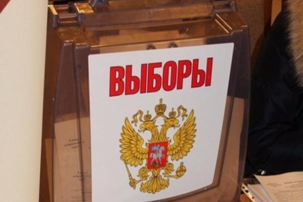 Явка на выборах в Госдуму в Новосибирской области составила 3,3%