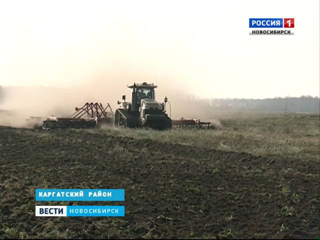 Сельхозпредприятие в Каргатском районе может стать одним из крупнейших в России