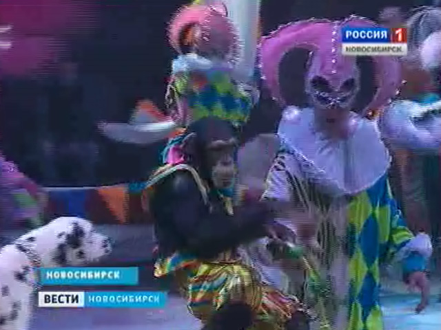 В Новосибирском цирке подготовили премьеру, изменив шоу &quot;Пять континентов&quot;
