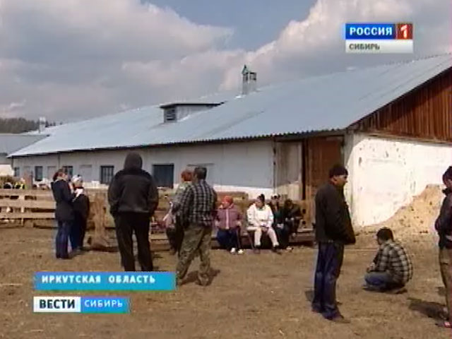 Жители одной из деревень Иркутского района полгода живут без зарплат