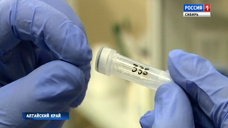 Алтайские ученые разработали способ раннего выявления раковых заболеваний