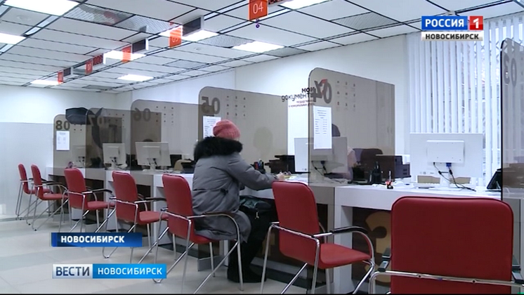 Новосибирские дачники не могут оформить свои участки из-за отсутствия электронной подписи