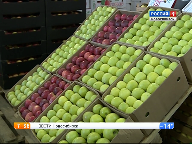 В магазинах Новосибирска упала цена на яблоки